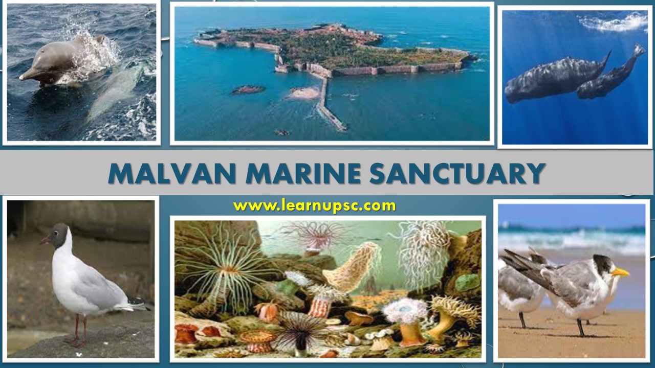 Malvan Marine Sanctuary 